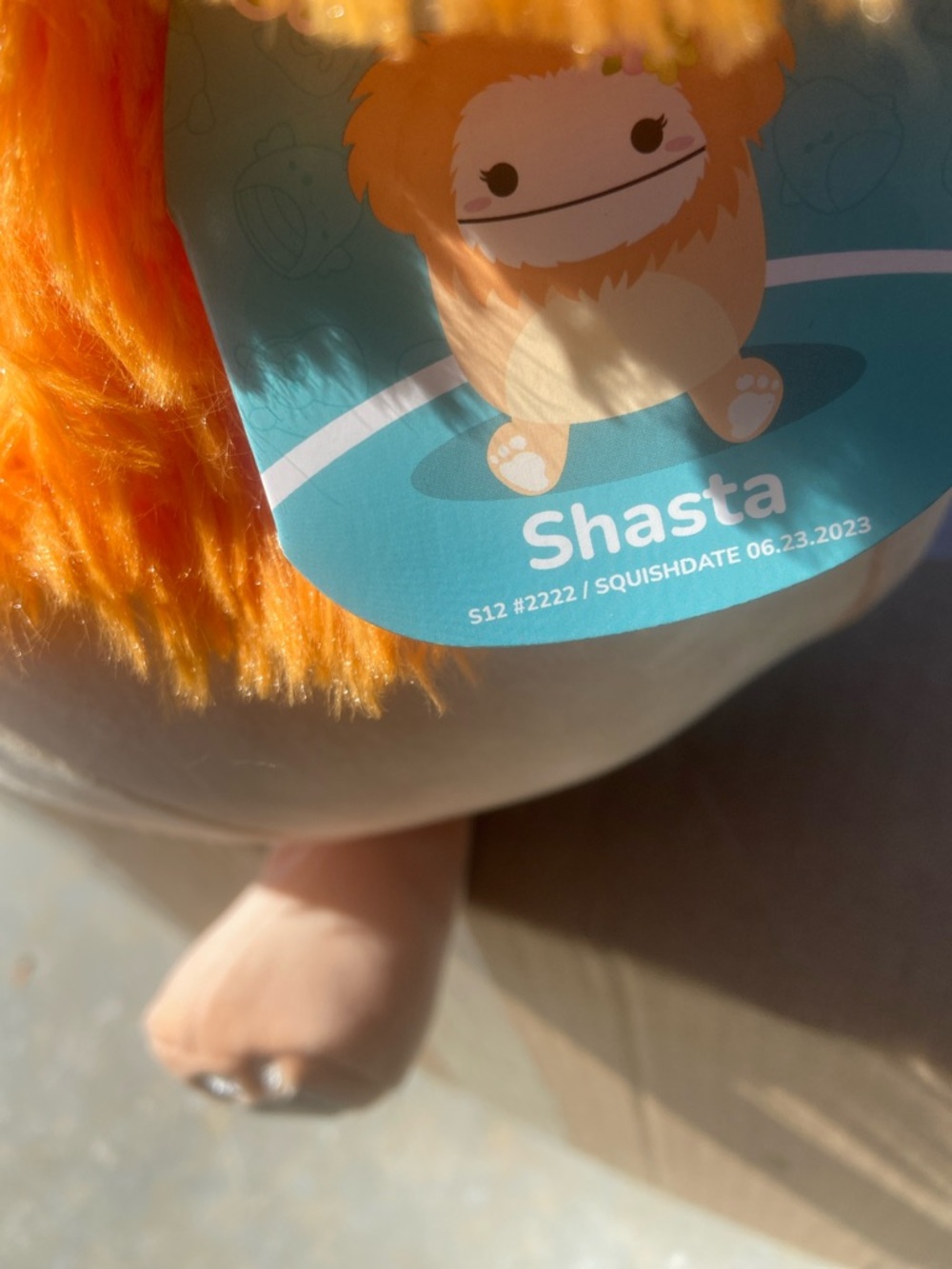 SQUISHMALLOW SHASTA with Flower Accent - Picture 3 of 6